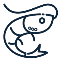 Seafood